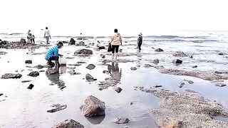 Семейный сбор морепродуктов на мелководье Лонгхая