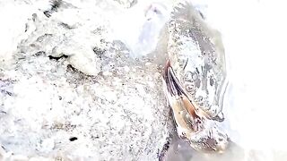 Семейный сбор морепродуктов на мелководье Лонгхая