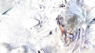 Семейный сбор морепродуктов на мелководье Лонгхая