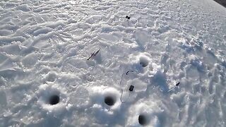 Кочегарка на Русском острове: лунки, палатка и первая навага