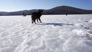 Кочегарка на Русском острове: лунки, палатка и первая навага