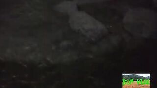 Ночная сеть и поиск морских обитателей у Хочама