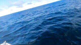 Пять тунцов после поломки управления: насыщенный день в Южном океане