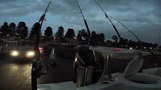 Пять тунцов после поломки управления: насыщенный день в Южном океане