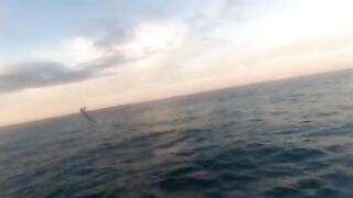 Пять тунцов после поломки управления: насыщенный день в Южном океане
