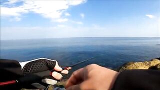 Сарган и ставрида с камней на утреннем Синопе