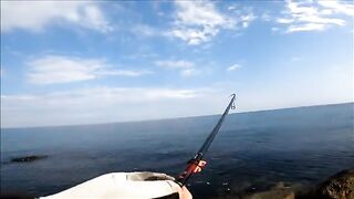 Сарган и ставрида с камней на утреннем Синопе