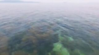 Рыбалка и водоросли островов Кото: день с местными рыбаками