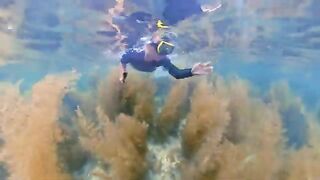 Рыбалка и водоросли островов Кото: день с местными рыбаками