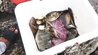 Волна изменила планы: компания рыболовов на Байсепе у Куинёна