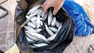 Лонгхай после сильной волны: ставим сеть на мелководье