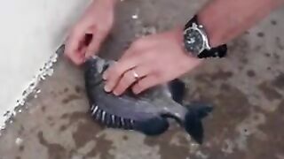 Пять часов ожидания у берега Мапуту: вечерняя рыбалка с друзьями
