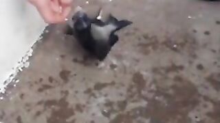 Пять часов ожидания у берега Мапуту: вечерняя рыбалка с друзьями