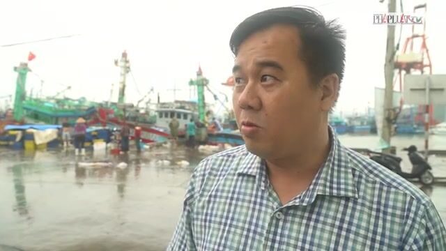 Рыбацкий порт Куинёна перед штормом: последние лодки возвращаются, а торговля готовится к закрытию