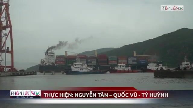 Рыбацкий порт Куинёна перед штормом: последние лодки возвращаются, а торговля готовится к закрытию