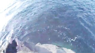 С новым спиннингом к мысу Тобизина на острове Русский