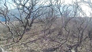 С новым спиннингом к мысу Тобизина на острове Русский