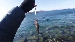 С новым спиннингом к мысу Тобизина на острове Русский