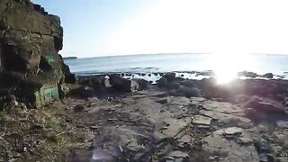 С новым спиннингом к мысу Тобизина на острове Русский