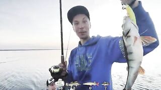 Окуни, судак и маяк во время июльской поездки на Онегу