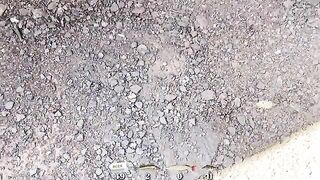 Окуни, судак и маяк во время июльской поездки на Онегу