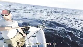 Окуни, судак и маяк во время июльской поездки на Онегу