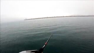 Две рыбы после сходов на утреннем берегу Синопа