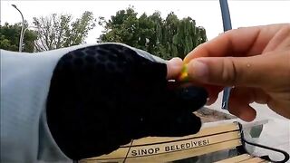 Две рыбы после сходов на утреннем берегу Синопа