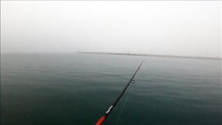 Две рыбы после сходов на утреннем берегу Синопа