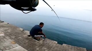 Две рыбы после сходов на утреннем берегу Синопа