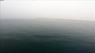 Две рыбы после сходов на утреннем берегу Синопа