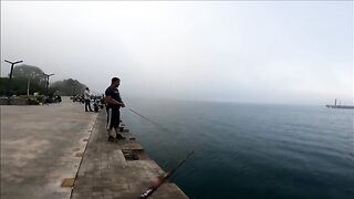 Две рыбы после сходов на утреннем берегу Синопа