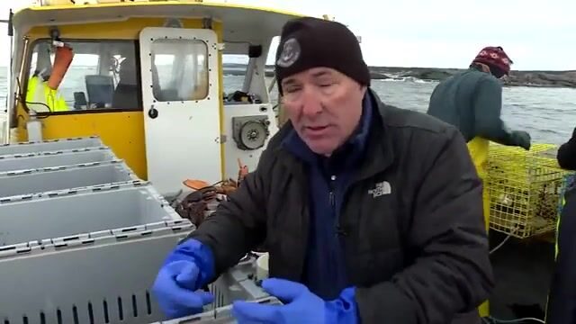 Промысел омара у берегов Квебека: выход из Пор-Картье, ловушки и жизнь рыбацкой команды