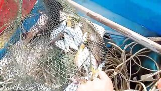 Утро рыбаков в Зыонгдонге на Фукуоке: лодки, сеть и свежая рыба