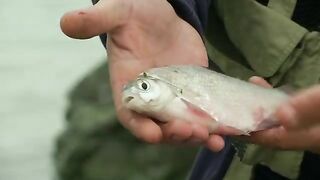 Утро на Каспии в Махачкале: вобла, подлещик и бычки у городского берега