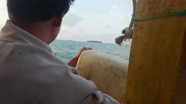 Морская черепаха в сети у Лонгхая: рыбаки освобождают ее и продолжают трудный рейс