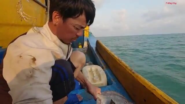Морская черепаха в сети у Лонгхая: рыбаки освобождают ее и продолжают трудный рейс