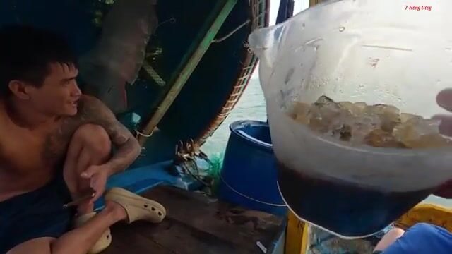 Морская черепаха в сети у Лонгхая: рыбаки освобождают ее и продолжают трудный рейс