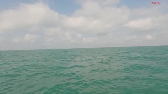 Морская черепаха в сети у Лонгхая: рыбаки освобождают ее и продолжают трудный рейс
