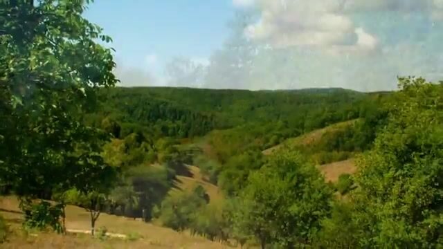 Ущелье Лэпуш в Румынии: где искать подходы к реке и какую рыбу здесь ловят