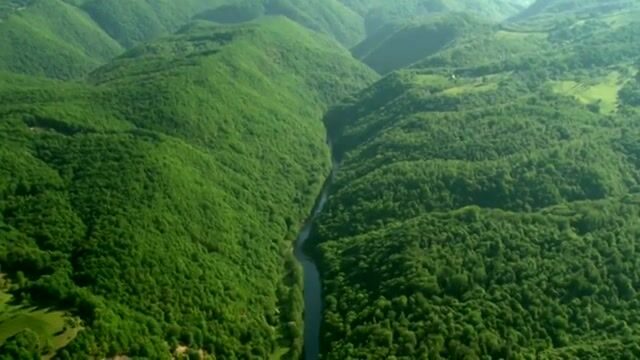 Ущелье Лэпуш в Румынии: где искать подходы к реке и какую рыбу здесь ловят