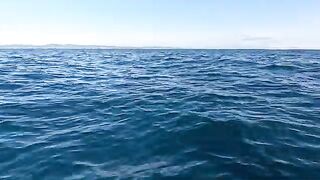 С отцом на остров Русский: камбала с лодки и сорвавшаяся треска