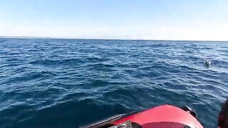 С отцом на остров Русский: камбала с лодки и сорвавшаяся треска