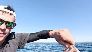 С отцом на остров Русский: камбала с лодки и сорвавшаяся треска