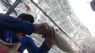Ночной выход рыбаков Лонгхая: сеть, ветер и возвращение к берегу