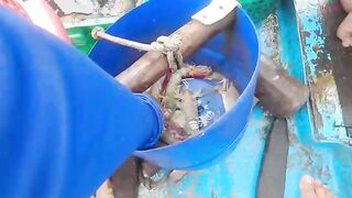 Ночной выход рыбаков Лонгхая: сеть, ветер и возвращение к берегу