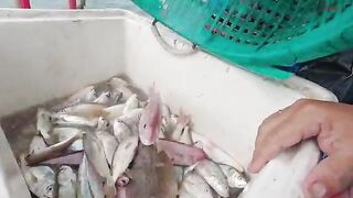 Ночной выход рыбаков Лонгхая: сеть, ветер и возвращение к берегу