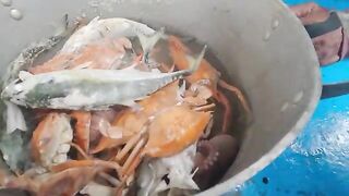 Ночной выход рыбаков Лонгхая: сеть, ветер и возвращение к берегу