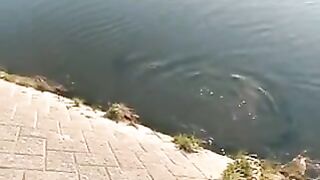 Рыбалка у городской воды в Осаке: спиннинг и возвращение рыбы