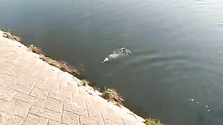 Рыбалка у городской воды в Осаке: спиннинг и возвращение рыбы